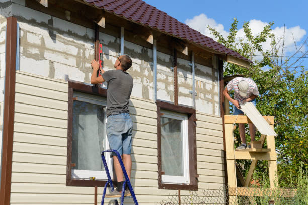 Best Wood Siding Installation  in Belle Rose, LA