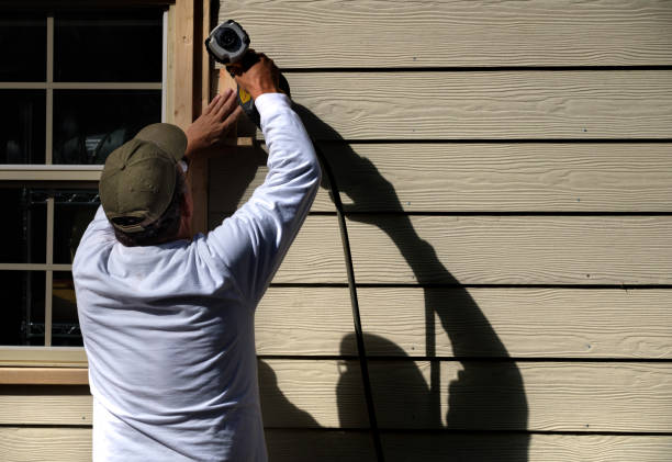 Best Vinyl Siding Installation  in Belle Rose, LA