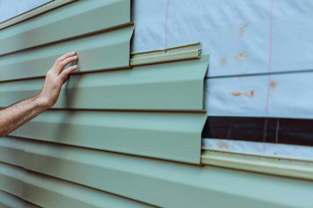 Best Aluminum Siding Installation  in Belle Rose, LA